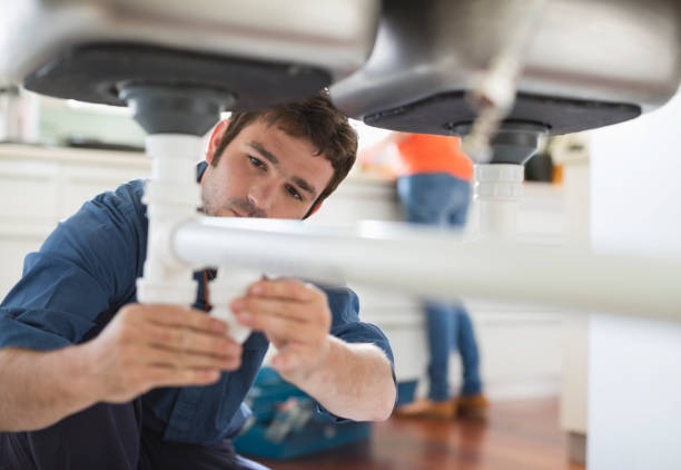 Best Commercial Plumbing Services  in Nes, IL