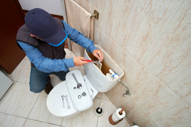 Best Emergency Plumbing Repair  in Nes, IL