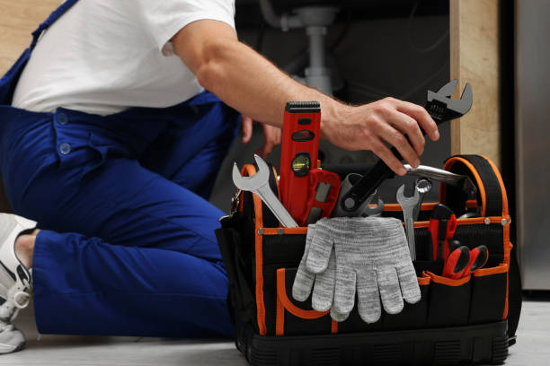Best 24-Hour Plumber Near Me  in Nes, IL