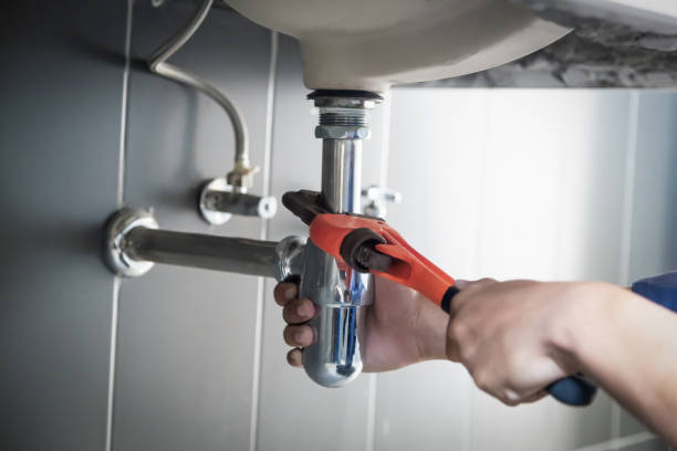 Best Sewer Line Repair  in Nes, IL